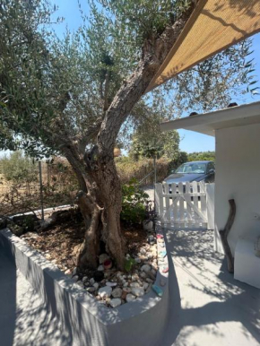 Villa Elia